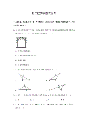 初二数学寒假作业20.docx