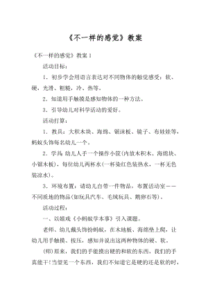 《不一样的感觉》教案汇编.docx