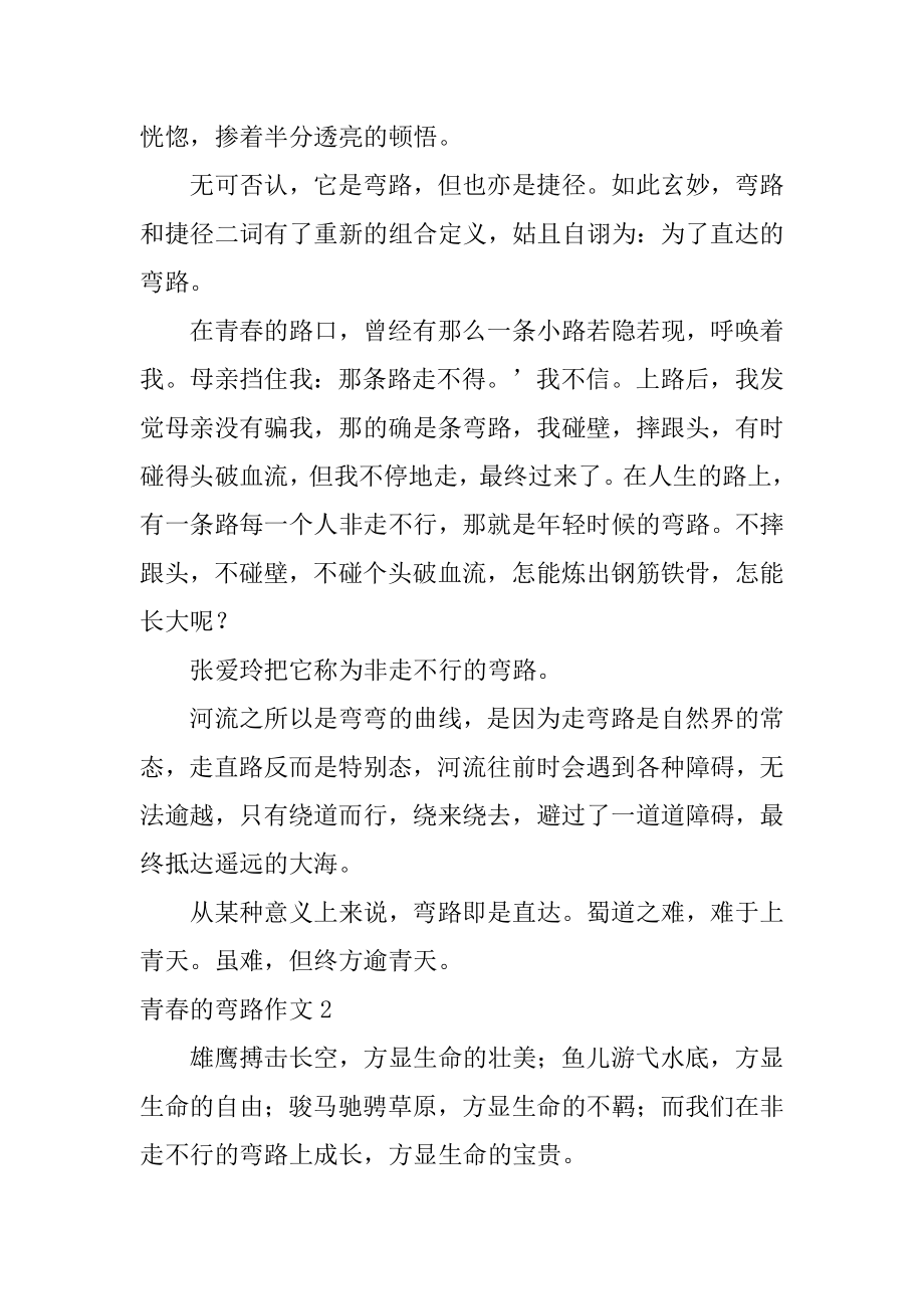 青春的弯路作文汇总.docx_第2页