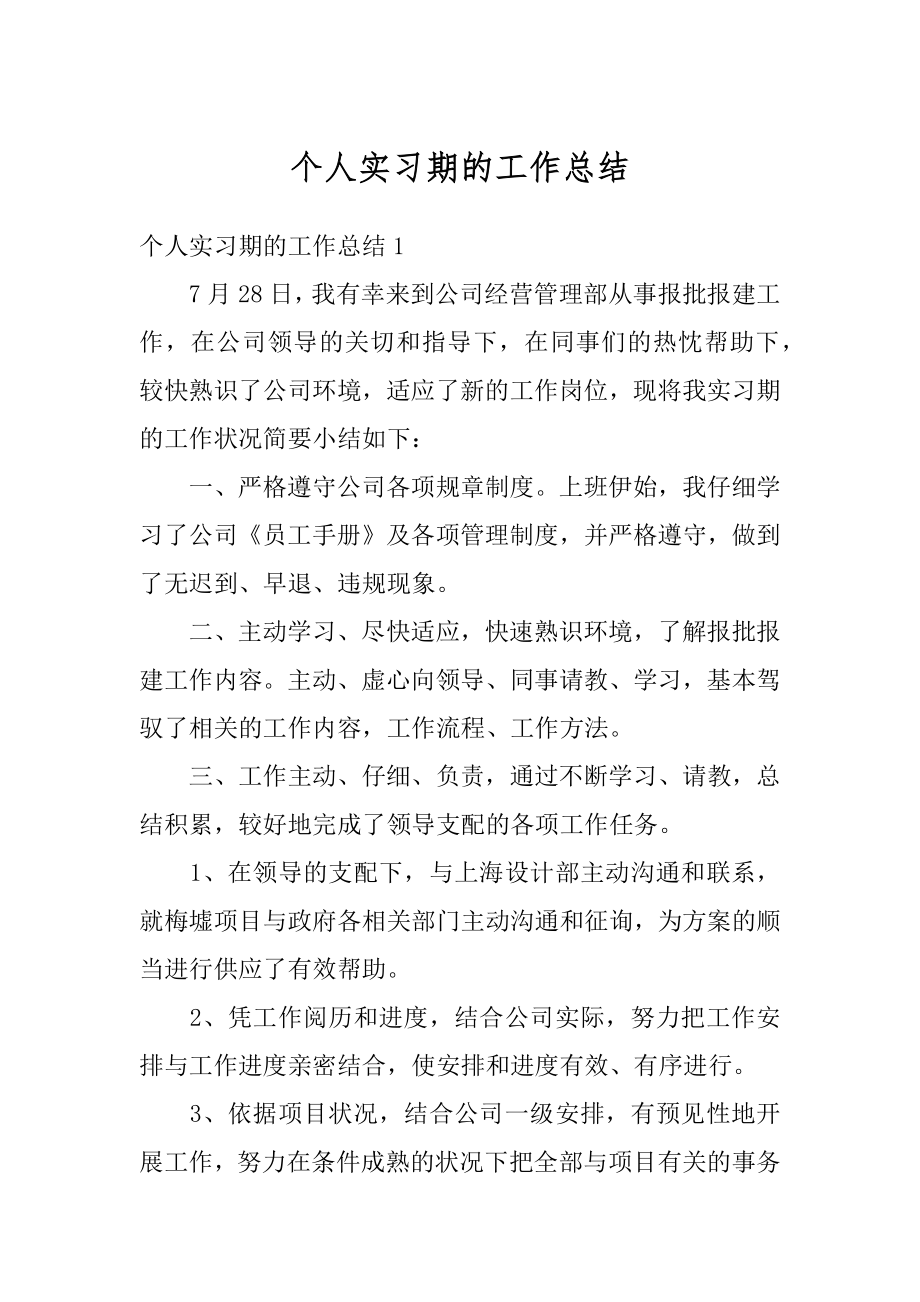 个人实习期的工作总结精编.docx_第1页