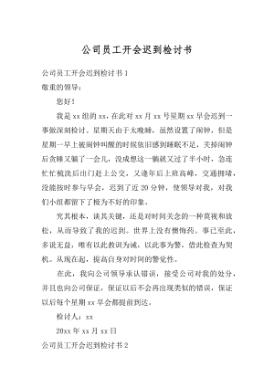 公司员工开会迟到检讨书精选.docx