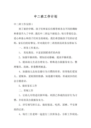 中二班工作计划精选.docx