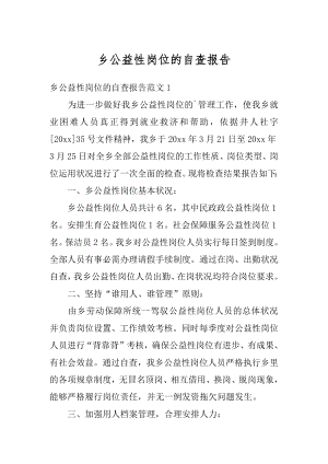 乡公益性岗位的自查报告例文.docx