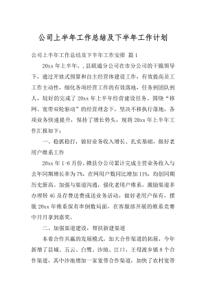 公司上半年工作总结及下半年工作计划范例.docx