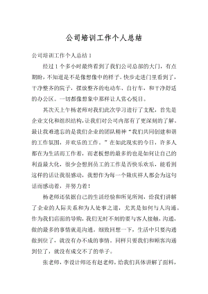 公司培训工作个人总结汇编.docx