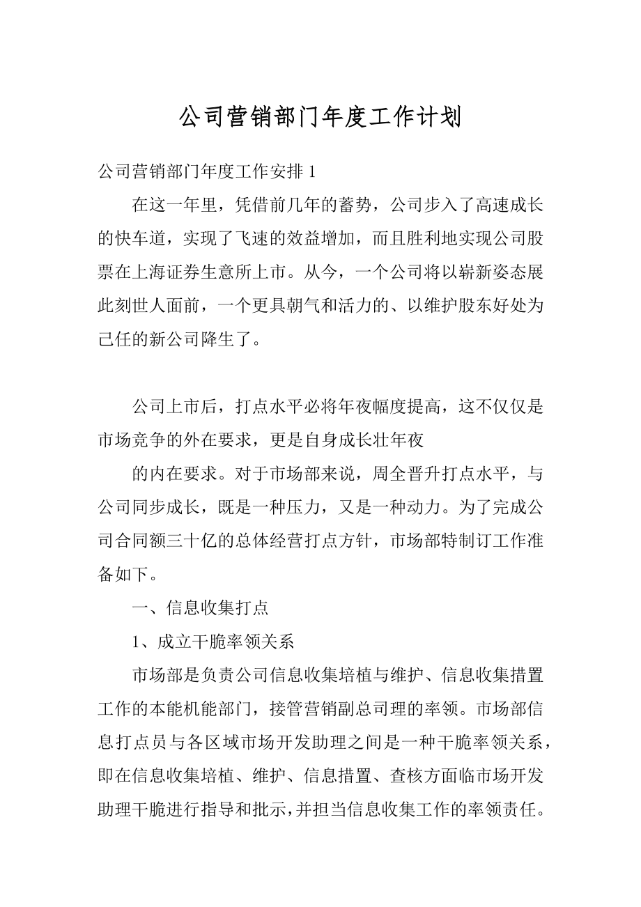 公司营销部门年度工作计划精编.docx_第1页