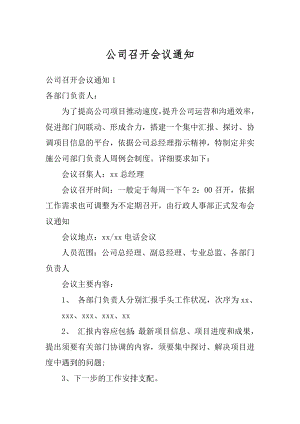 公司召开会议通知优质.docx