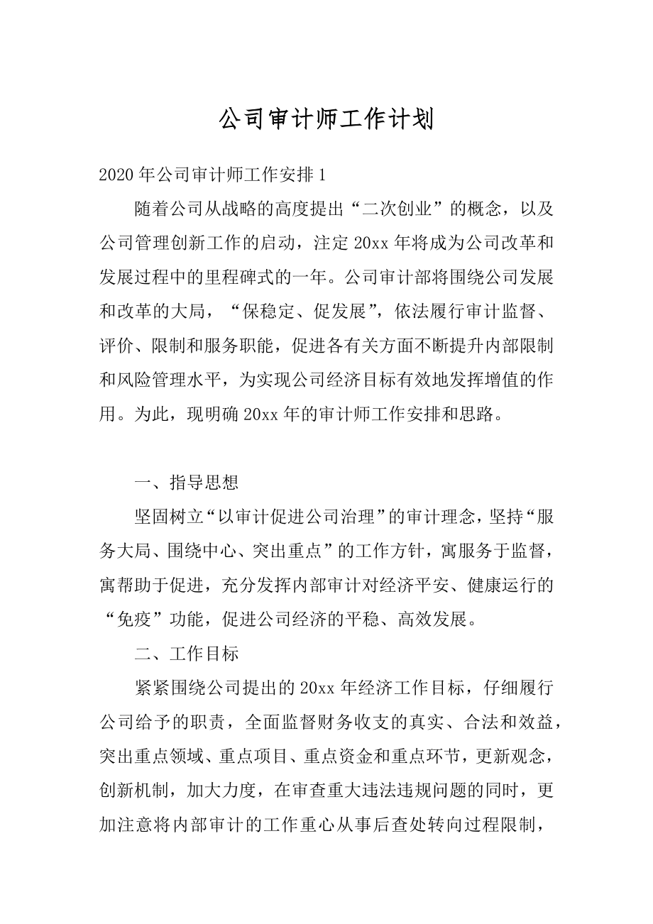 公司审计师工作计划精选.docx_第1页