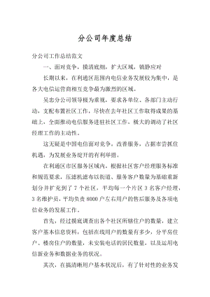 分公司年度总结例文.docx