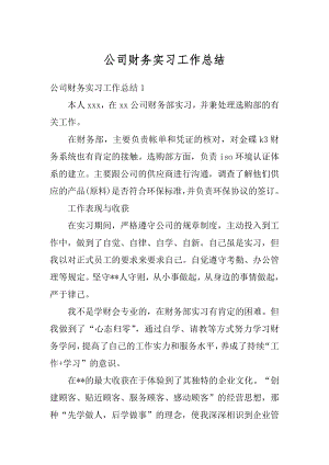 公司财务实习工作总结例文.docx