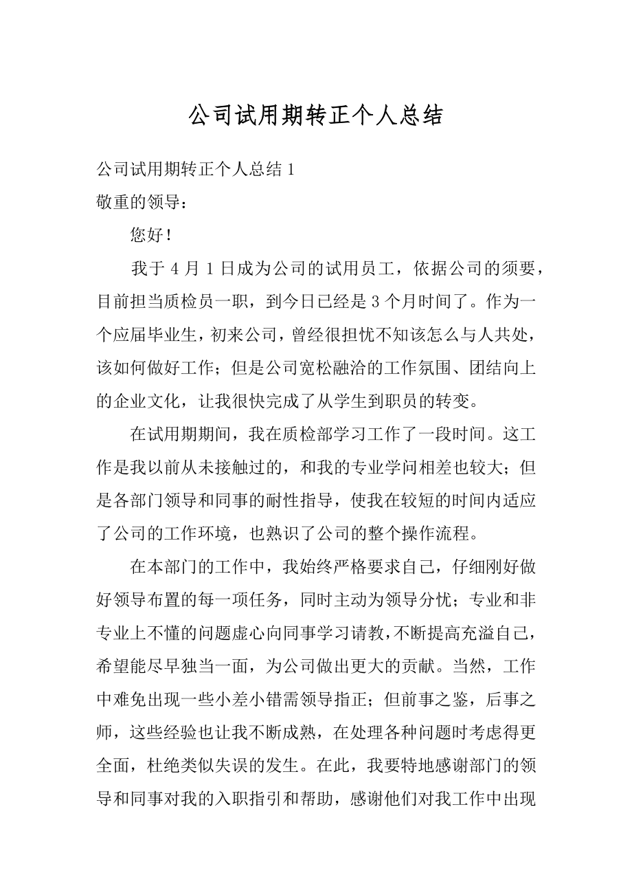 公司试用期转正个人总结汇编.docx_第1页