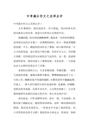 中考满分作文之名师点评范本.docx