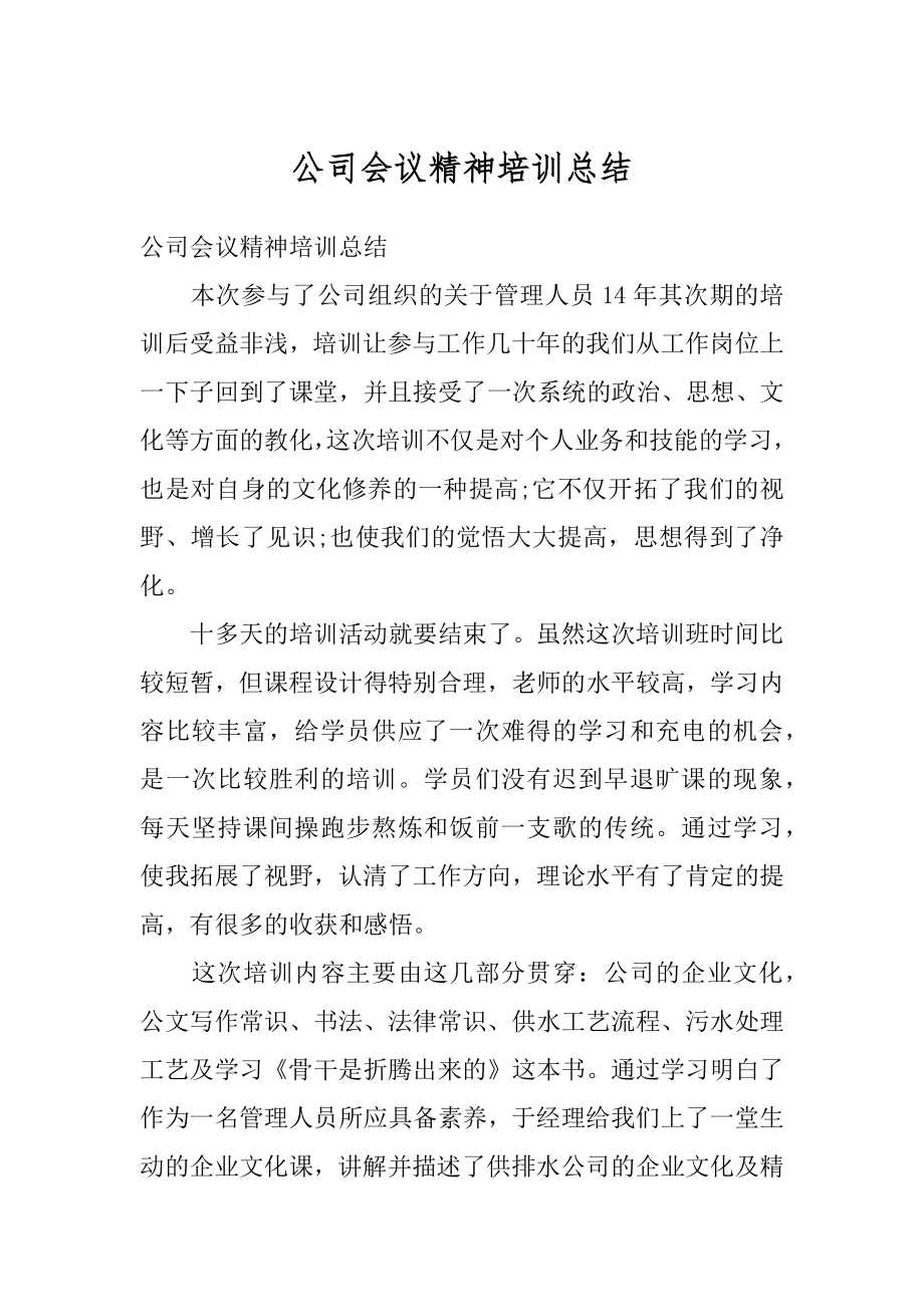 公司会议精神培训总结最新.docx_第1页