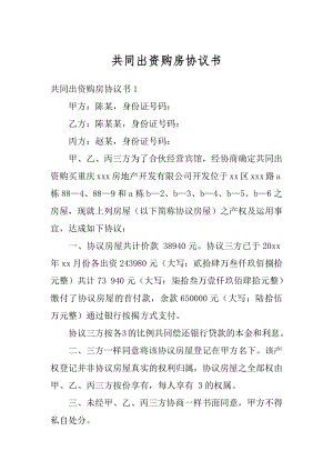 共同出资购房协议书汇编.docx