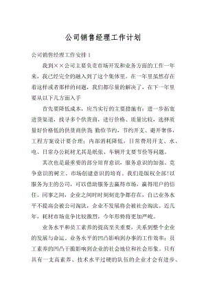 公司销售经理工作计划最新.docx