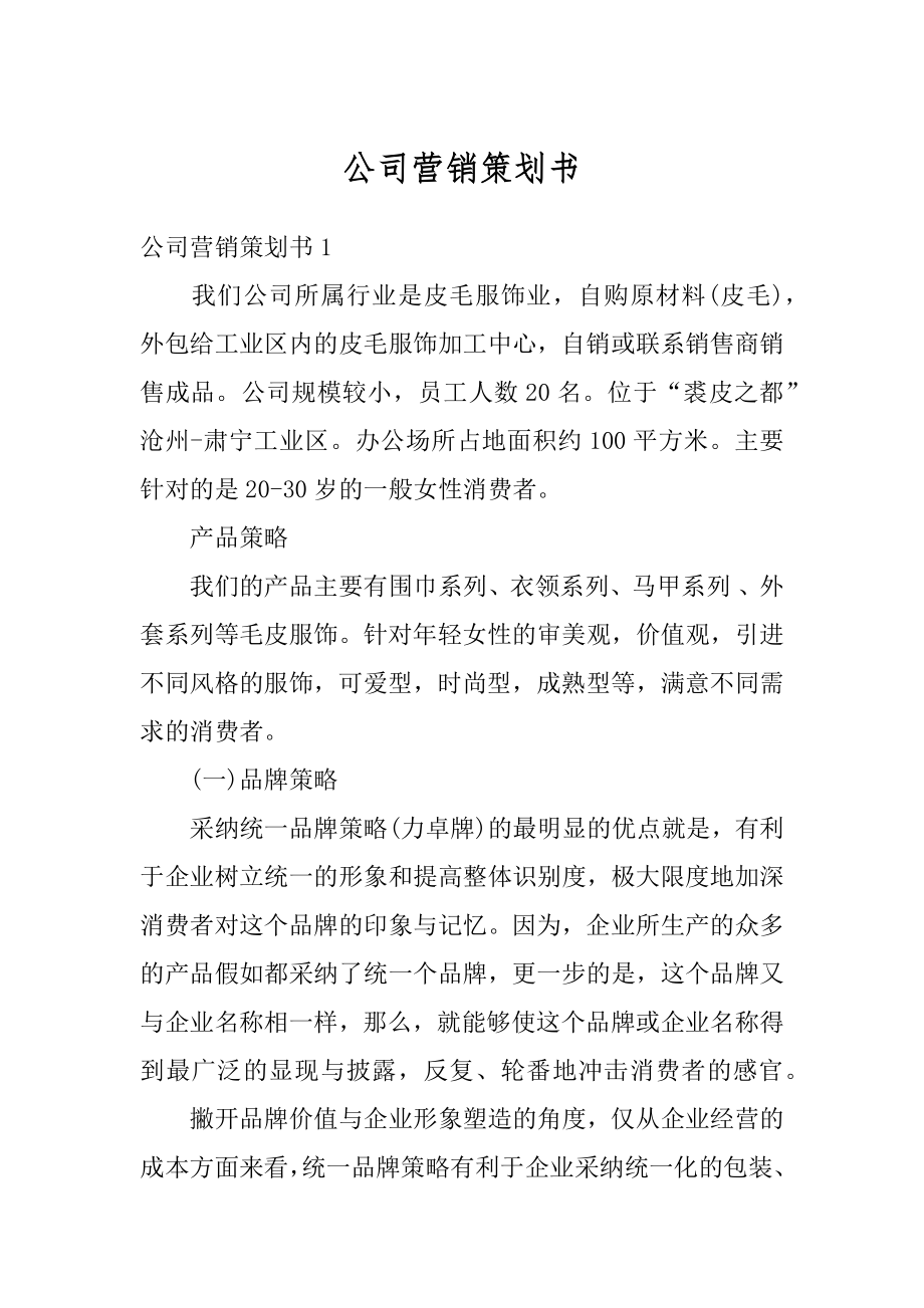 公司营销策划书范例.docx_第1页