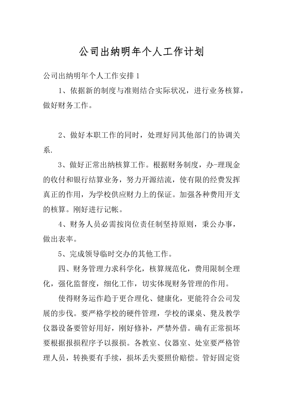 公司出纳明年个人工作计划精品.docx_第1页