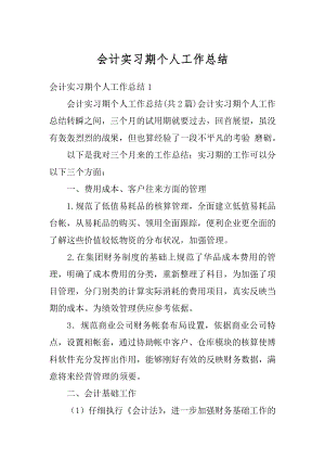 会计实习期个人工作总结范例.docx