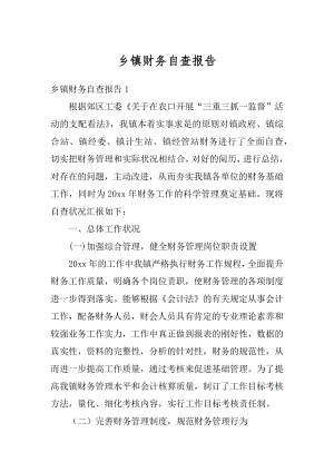 乡镇财务自查报告范例.docx