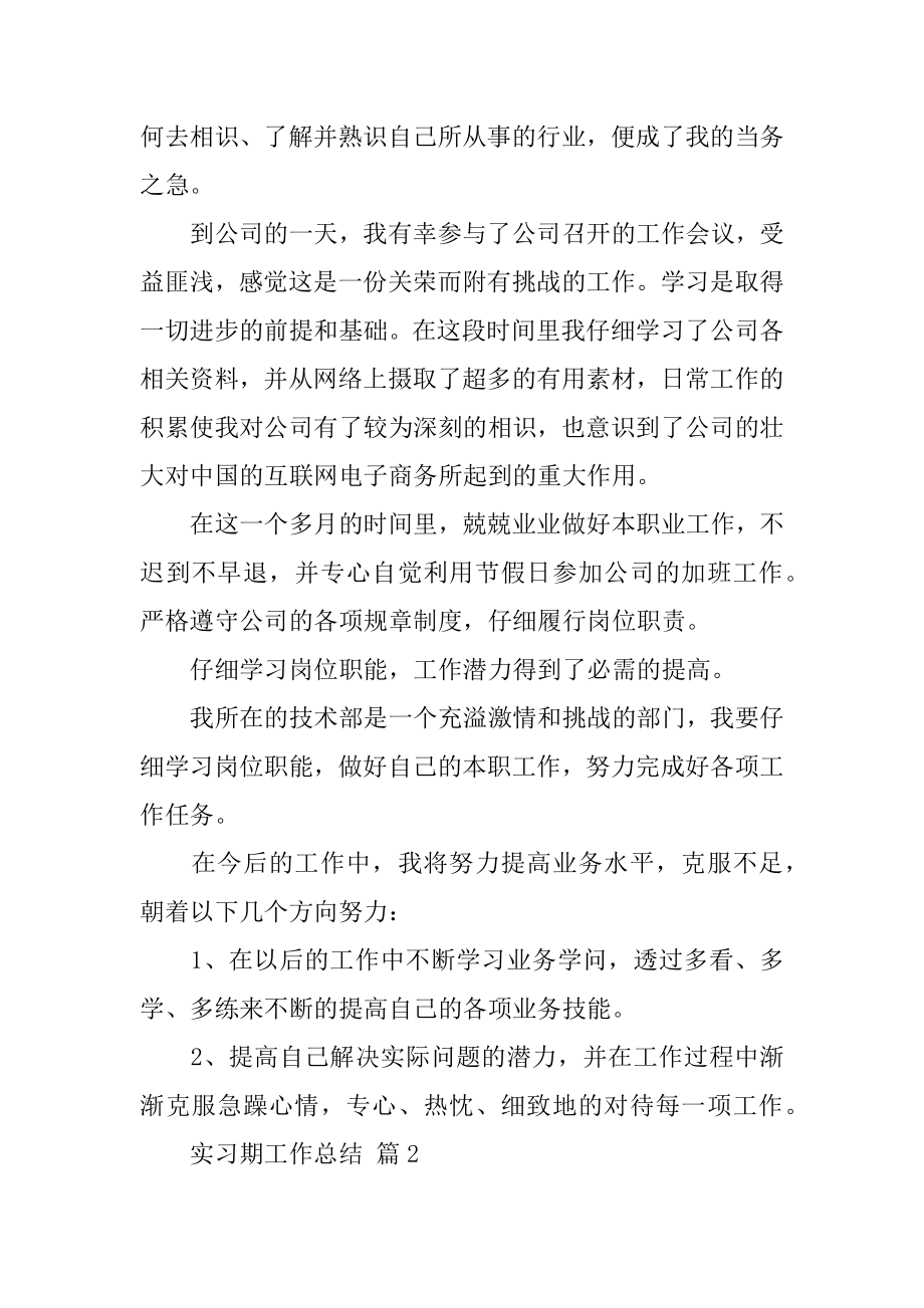 实习期工作总结精编.docx_第2页