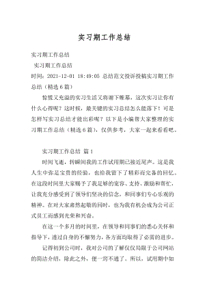 实习期工作总结精编.docx