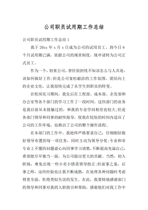 公司职员试用期工作总结精编.docx