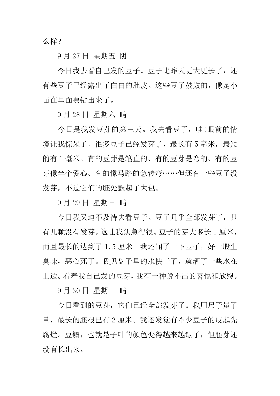 发豆芽观察日记优质.docx_第2页