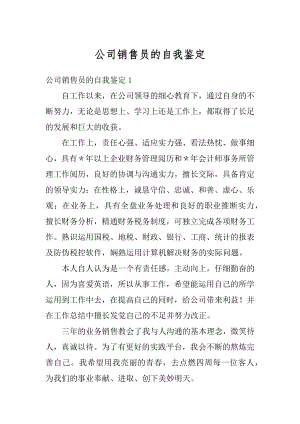 公司销售员的自我鉴定优质.docx