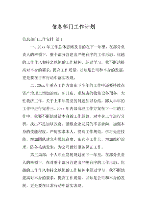 信息部门工作计划优质.docx