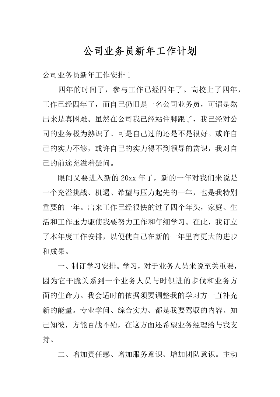 公司业务员新年工作计划范例.docx_第1页