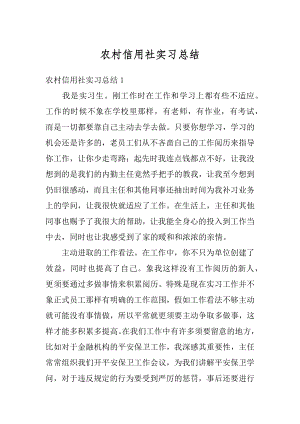 农村信用社实习总结优质.docx