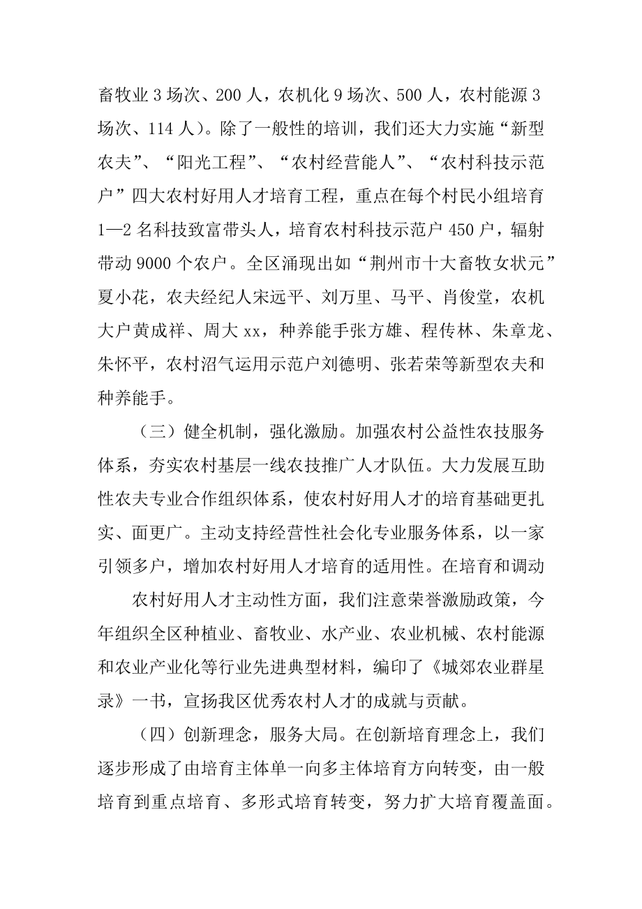 农村人才工作总结精编.docx_第2页