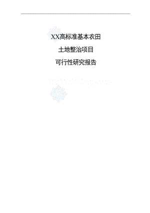 XX高标准基本农田土地整治项目可行性研究报告.doc