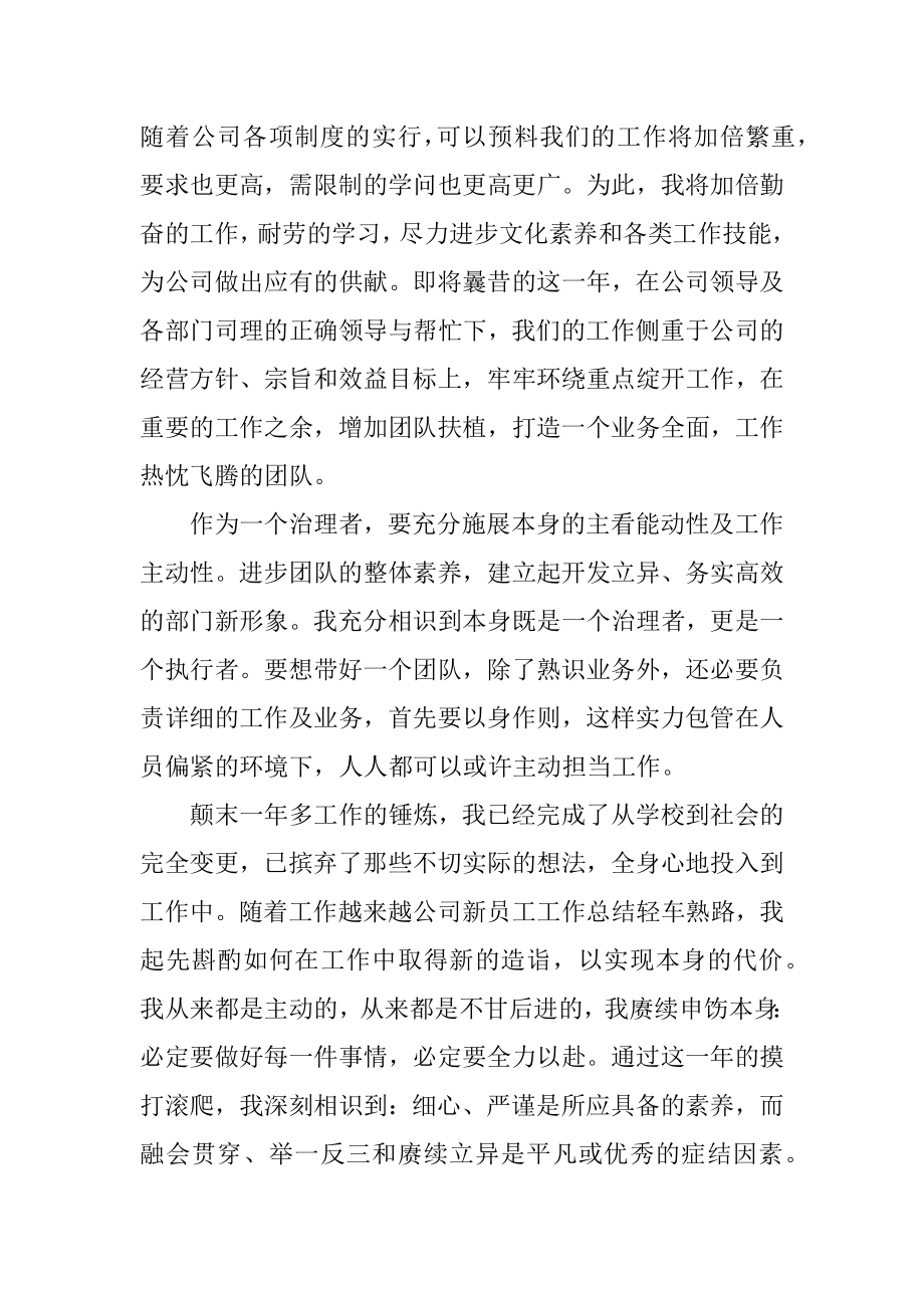 公司新员工的个人年终总结精选.docx_第2页