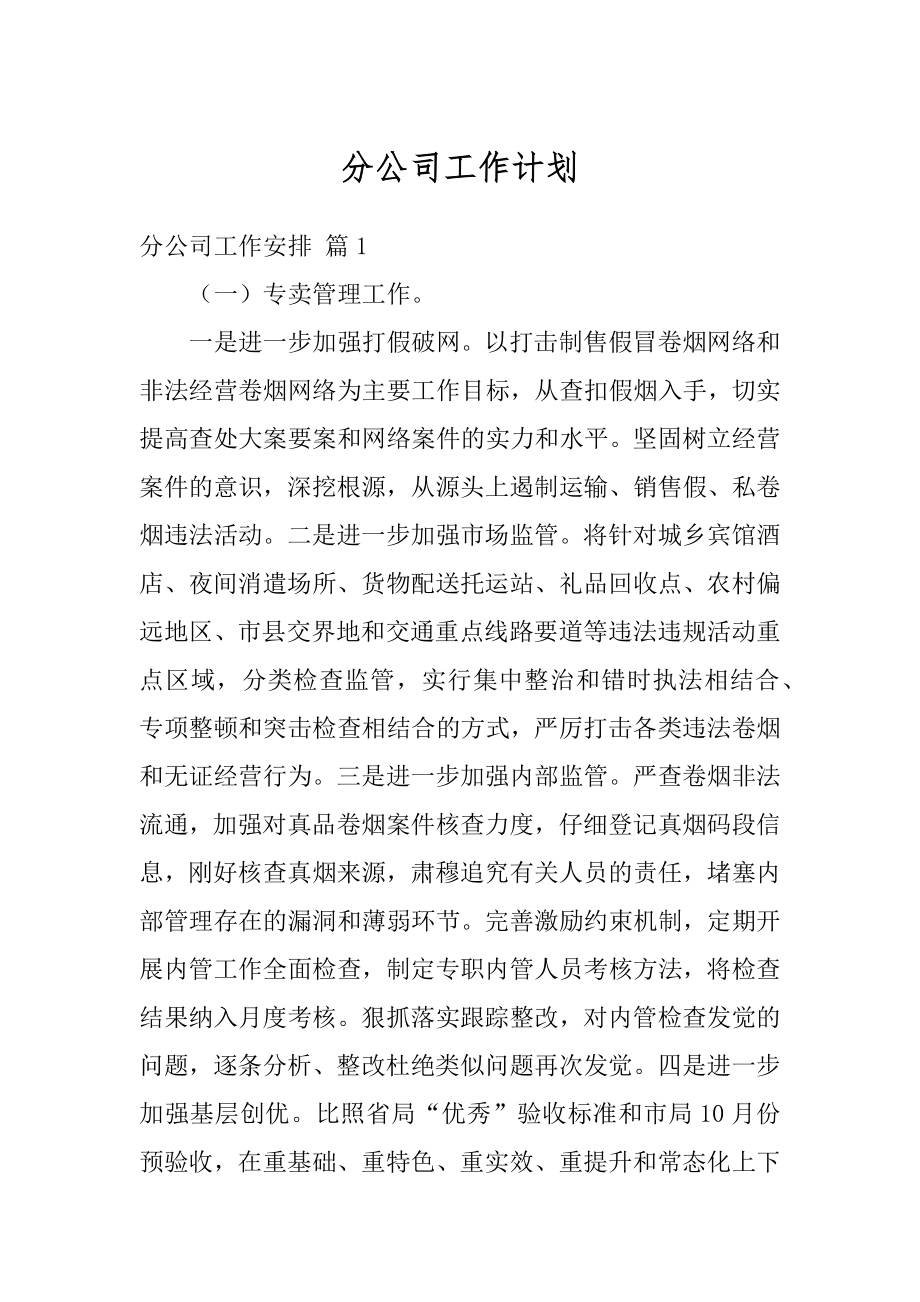 分公司工作计划范例.docx_第1页