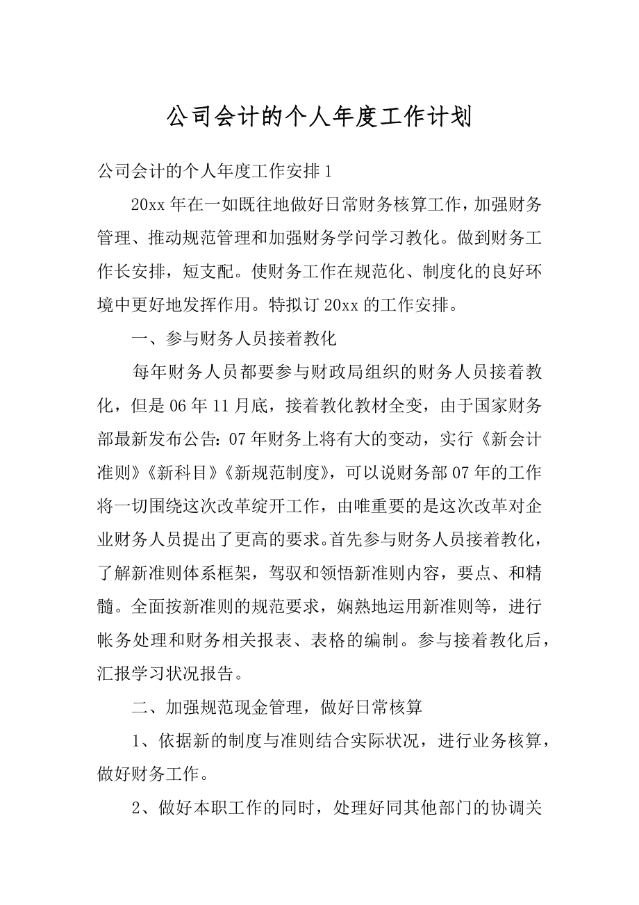 公司会计的个人年度工作计划精选.docx_第1页