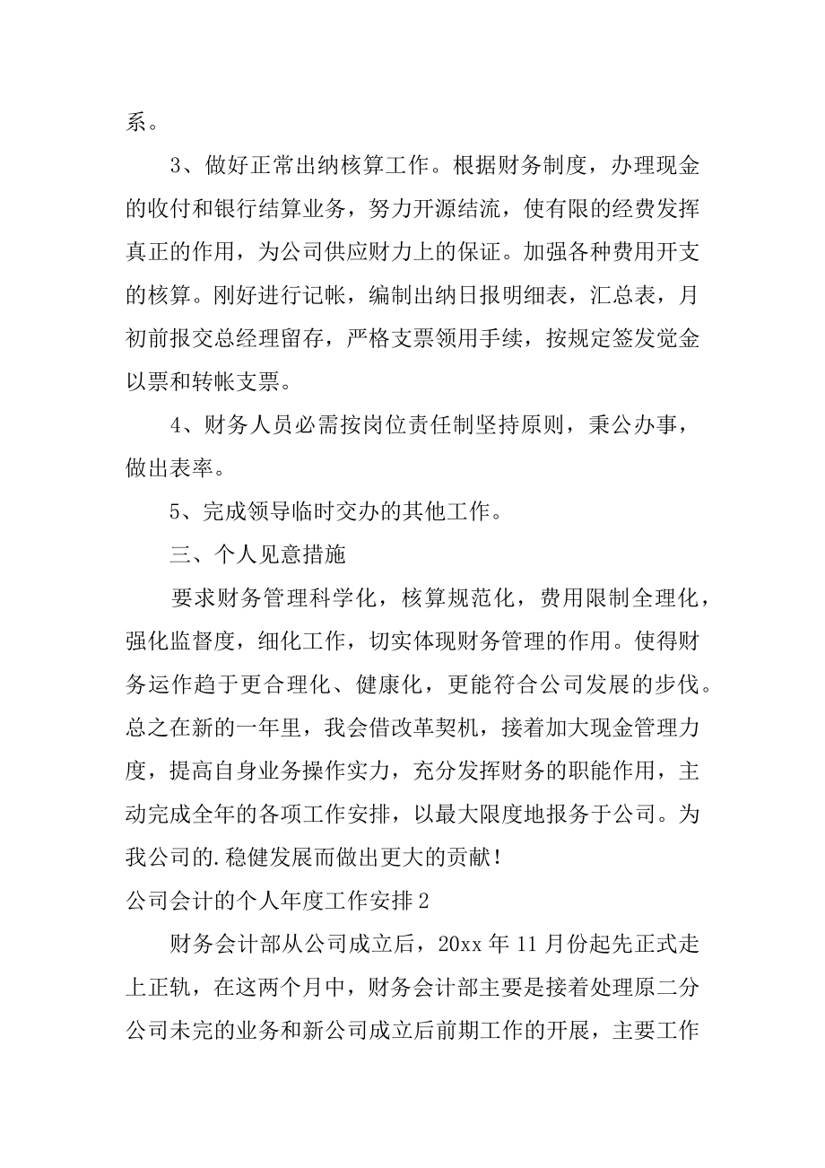 公司会计的个人年度工作计划精选.docx_第2页