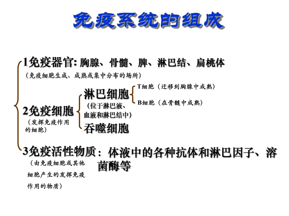 免疫系统的组成ppt课件.ppt_第1页