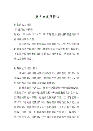 财务岗实习报告例文.docx