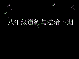 八年级道德与法治下册第七课课第一课时《自由平等的真谛》ppt课件.ppt