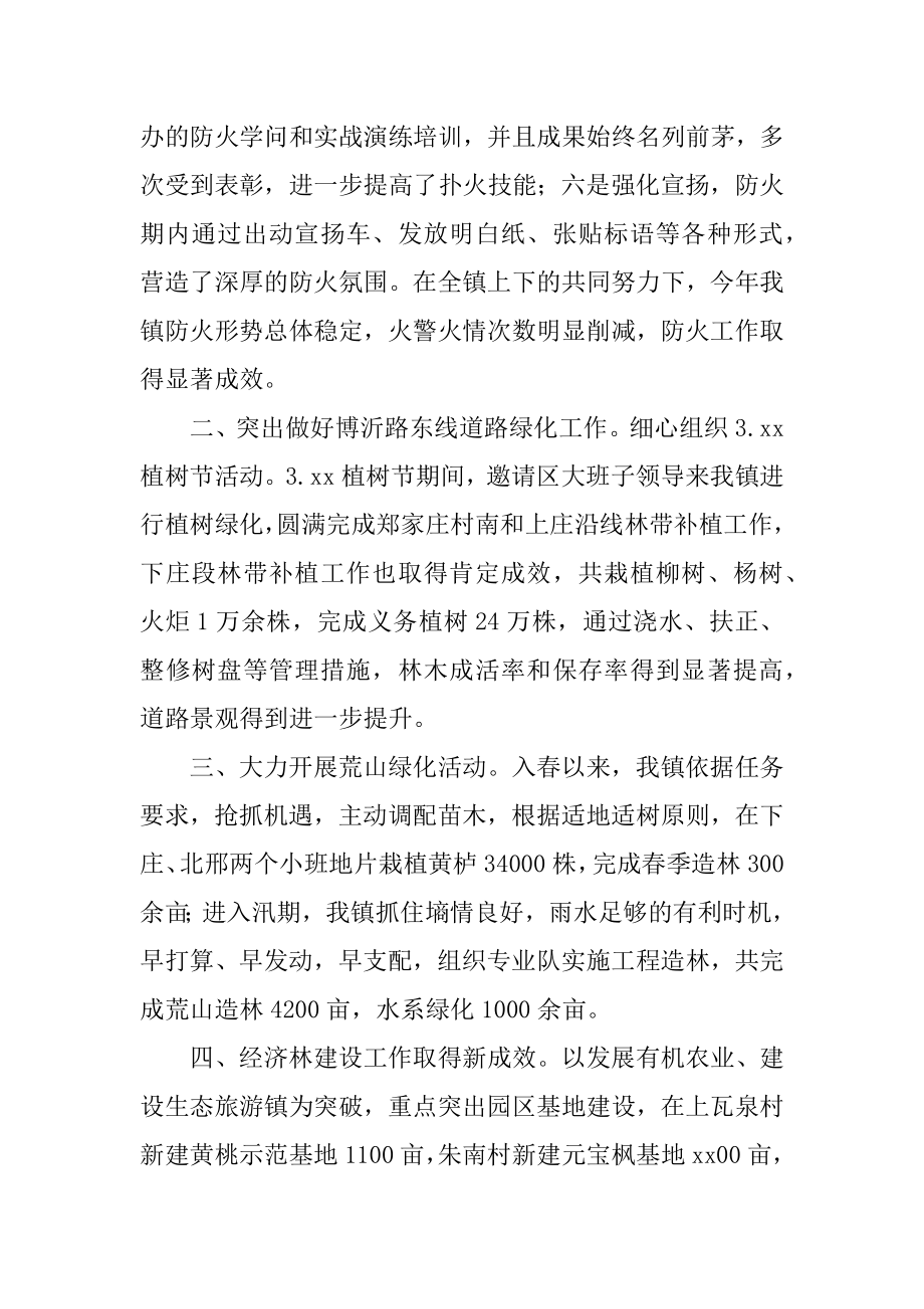 乡镇林业站年终工作总结精编.docx_第2页