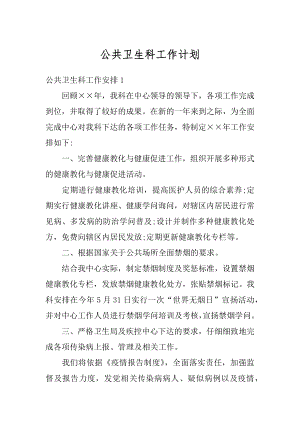 公共卫生科工作计划汇编.docx