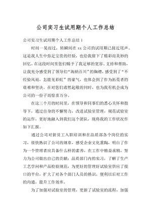 公司实习生试用期个人工作总结例文.docx