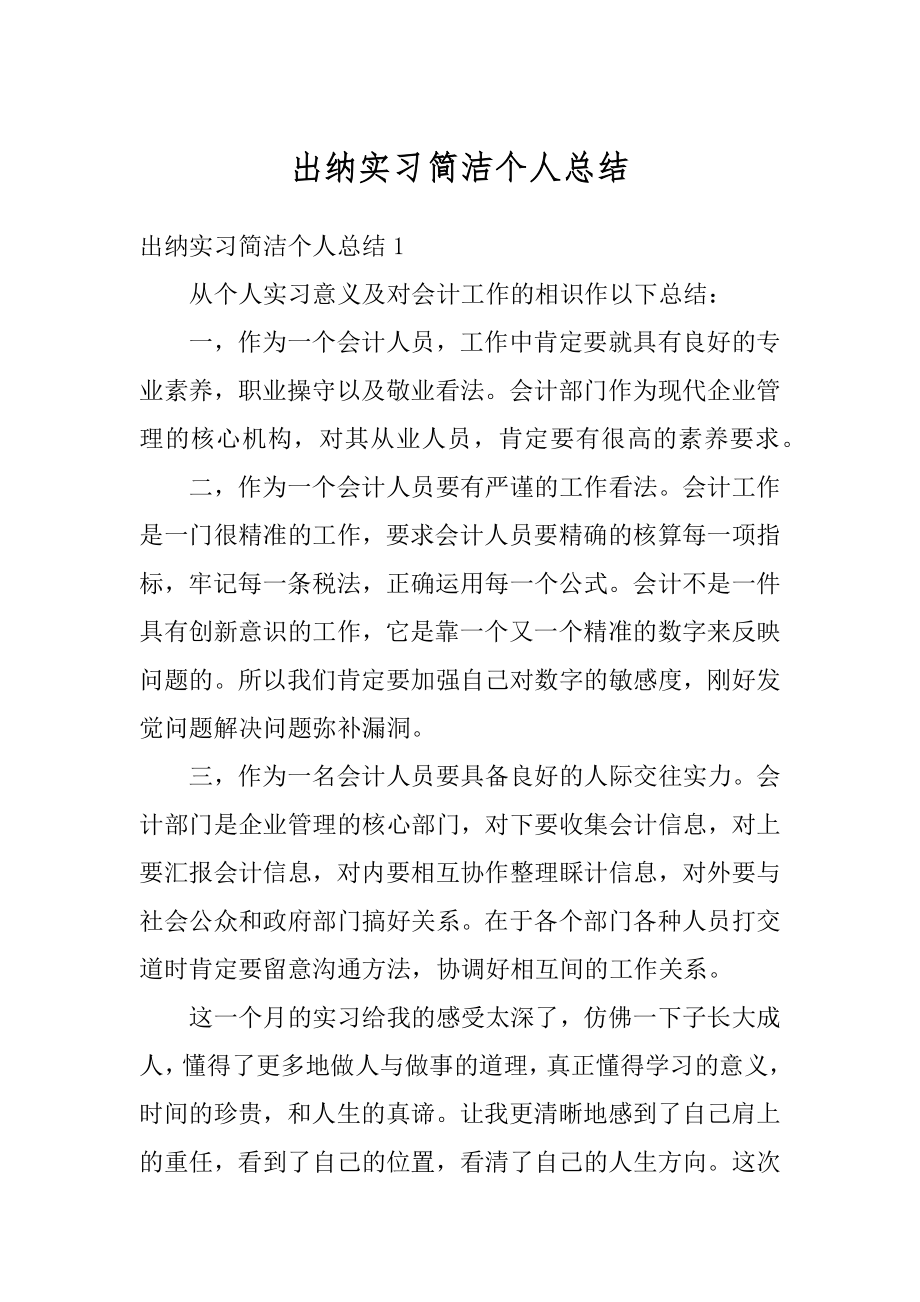 出纳实习简洁个人总结范例.docx_第1页