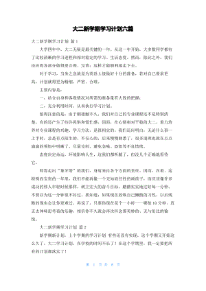 大二新学期学习计划六篇.pdf