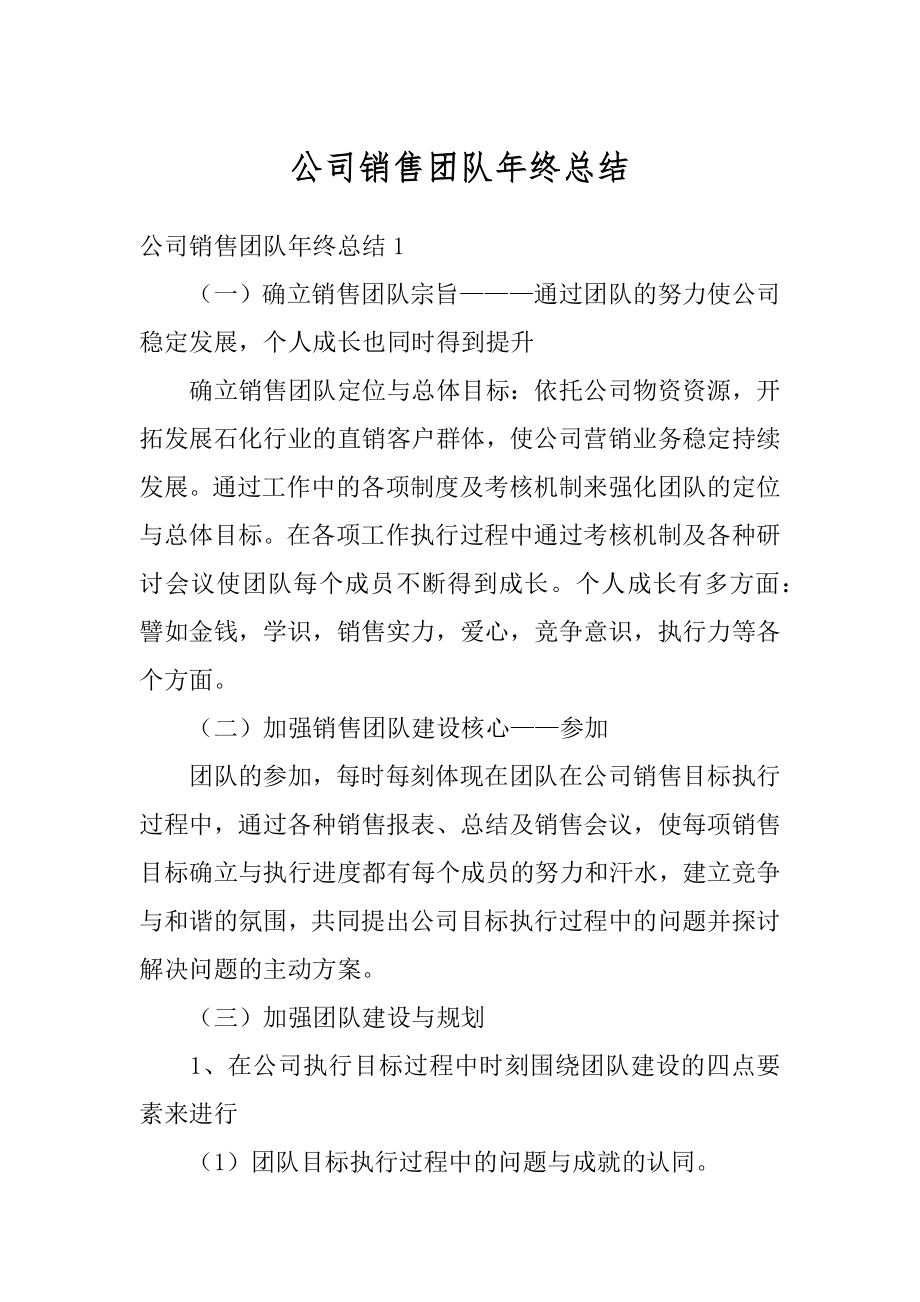 公司销售团队年终总结精编.docx_第1页