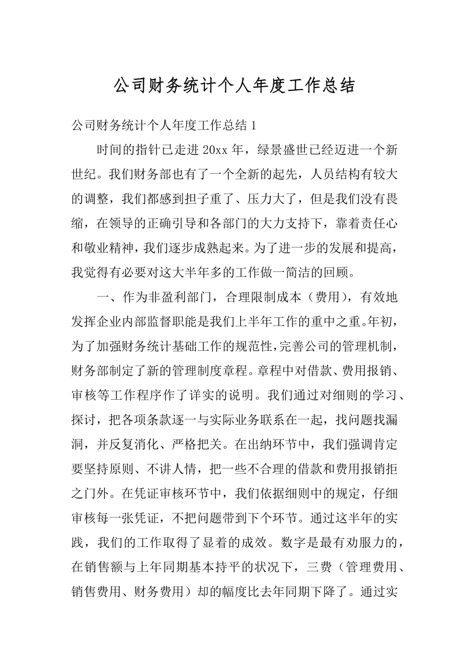 公司财务统计个人年度工作总结精品.docx_第1页