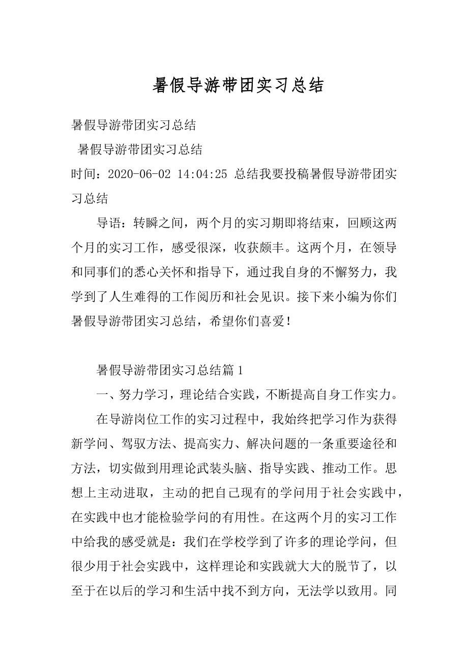 暑假导游带团实习总结精编.docx_第1页