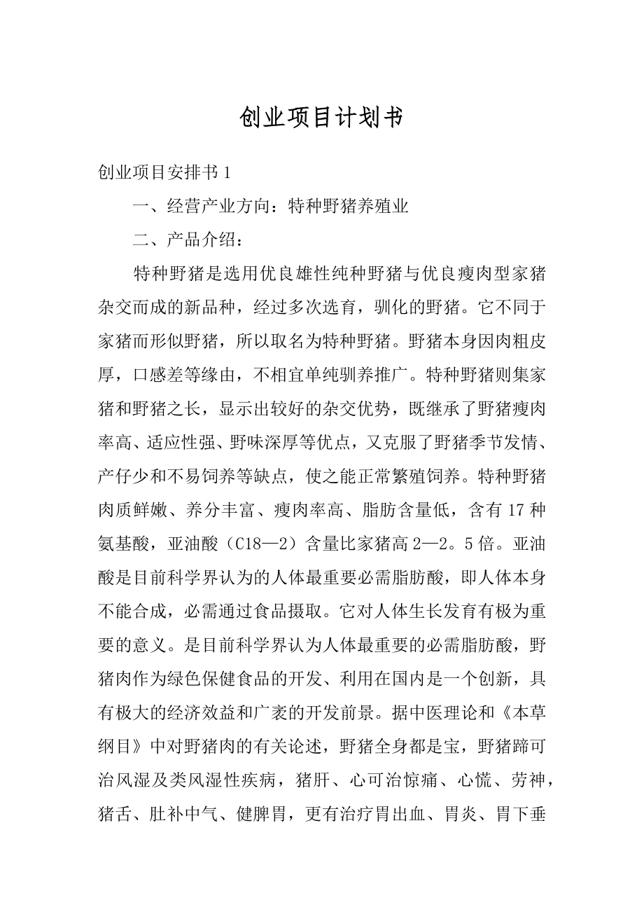 创业项目计划书精编.docx_第1页