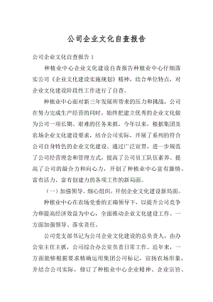 公司企业文化自查报告优质.docx